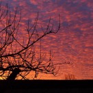 ciel-rouge-matin